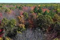Land for sale in Ogemaw County, Michigan