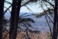 Land for sale in Pickens County, Georgia