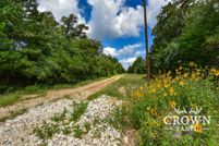 Undeveloped Land for sale in Burleson County, Texas