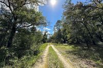 Land for sale in Levy County, Florida