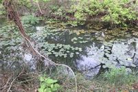 Farm and Ranch for sale in Comal County, Texas