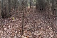 Recreational Property for sale in Amherst County, Virginia