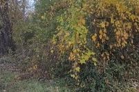 Farm and Ranch for sale in New Castle County, Delaware
