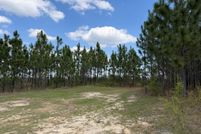 Land for sale in Barbour County, Alabama