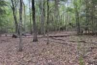 Land for sale in Hardin County, Texas