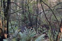 Farm and Ranch for sale in Coos County, Oregon