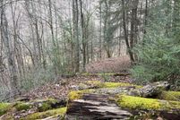 Land for sale in Leslie County, Kentucky