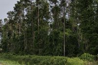 Land for sale in Coffee County, Georgia