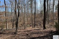 Timberland Property for sale in Patrick County, Virginia