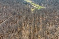 Undeveloped Land for sale in Holmes County, Ohio