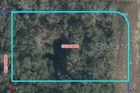 Farm and Ranch for sale in Levy County, Florida