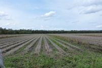 Land for sale in Flagler County, Florida