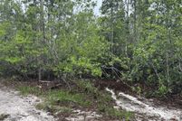 Land for sale in Osceola County, Florida