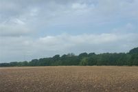 Land for sale in Fannin County, Texas