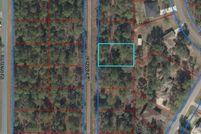 Land for sale in Levy County, Florida