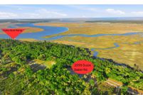 Undeveloped Land for sale in McIntosh County, Georgia