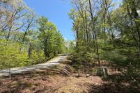 Land for sale in Fannin County, Georgia