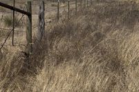 Farm and Ranch for sale in Texas County, Oklahoma