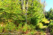 Land for sale in Susquehanna County, Pennsylvania
