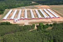 Land for sale in Henry County, Alabama