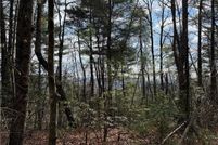 Land for sale in Wilkes County, North Carolina