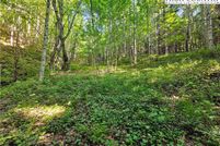 Land for sale in Ashe County, North Carolina