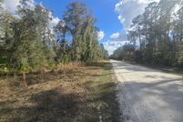 Land for sale in Dixie County, Florida