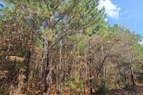 Land for sale in Rusk County, Texas