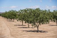 Timberland Property for sale in Dona Ana County, New Mexico