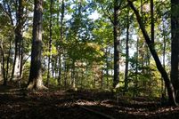 Land for sale in Cheatham County, Tennessee