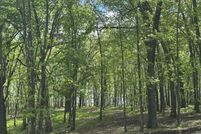 Recreational Property for sale in Greene County, Missouri