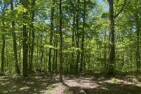 Undeveloped Land for sale in Jackson County, Kentucky