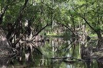 Land for sale in Hertford County, North Carolina