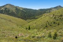 Undeveloped Land for sale in Baker County, Oregon