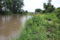 Undeveloped Land for sale in Jackson County, Iowa