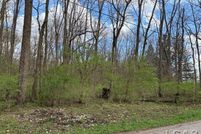 Undeveloped Land for sale in Lenawee County, Michigan