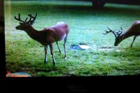 Farm and Ranch for sale in Clearfield County, Pennsylvania