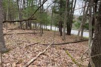 Land for sale in Manistee County, Michigan