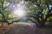 Lakefront Property for sale in McLennan County, Texas
