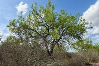 Land for sale in Duval County, Texas