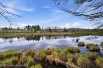 Farm and Ranch for sale in Susquehanna County, Pennsylvania