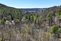 Timberland Property for sale in Schoharie County, New York