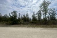 Land for sale in Taylor County, Florida