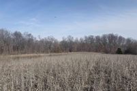 Undeveloped Land for sale in Edgar County, Illinois