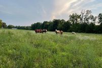 Timberland Property for sale in Franklin County, Tennessee