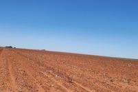 Land for sale in Terry County, Texas