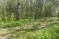 Lakefront Property for sale in Ionia County, Michigan