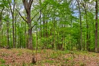 Land for sale in Stewart County, Tennessee