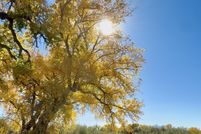 Undeveloped Land for sale in San Juan County, New Mexico