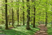 Land for sale in Prince Georges County, Maryland